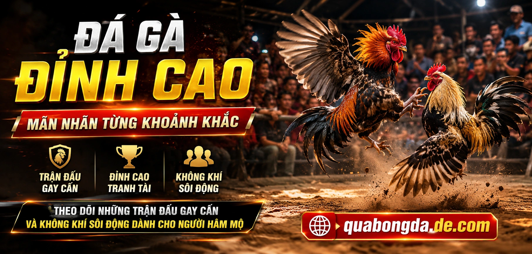 Đá gà trực tuyến giao diện xem trận và kèo
